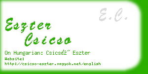 eszter csicso business card